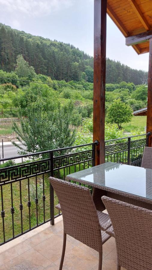 Forest Apartment Sapareva Banya Εξωτερικό φωτογραφία