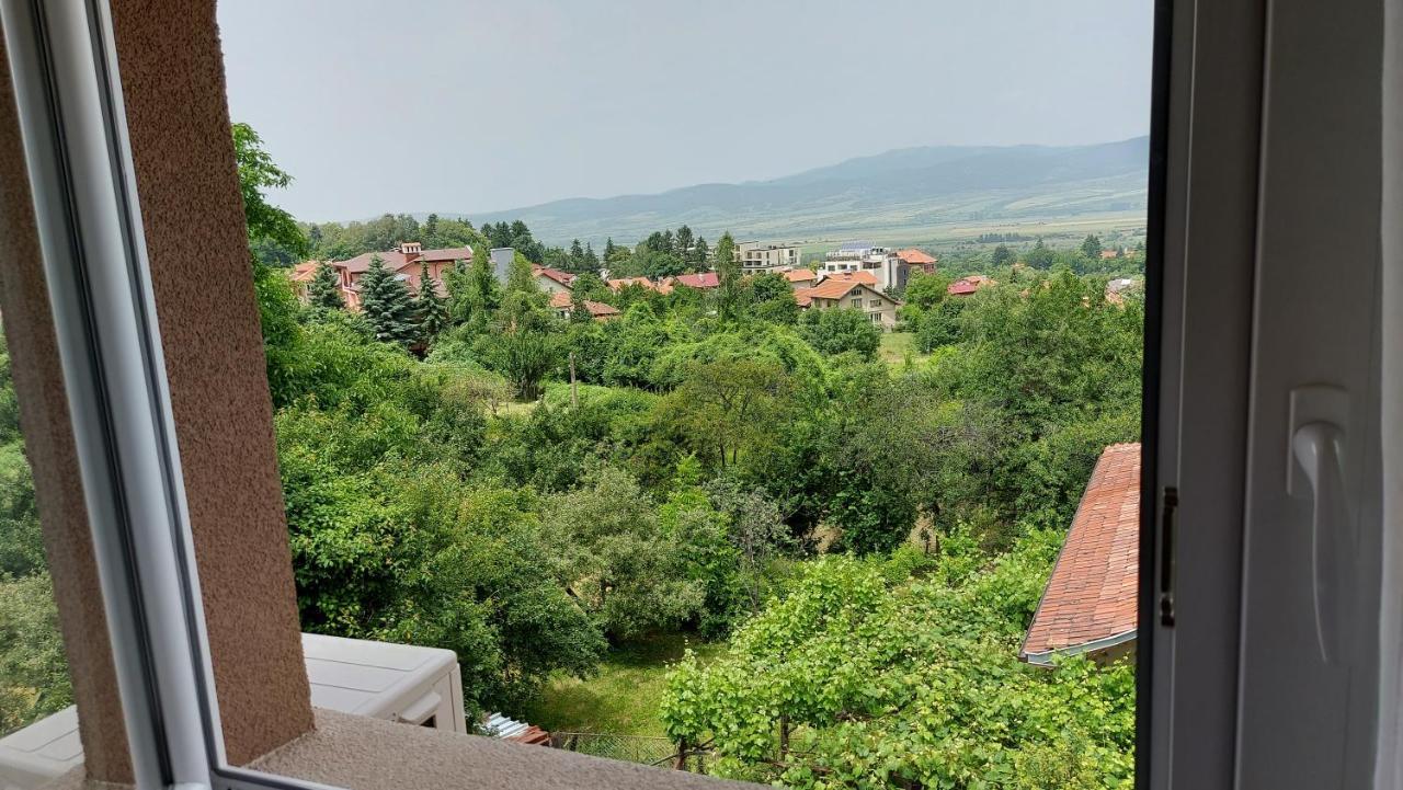 Forest Apartment Sapareva Banya Εξωτερικό φωτογραφία