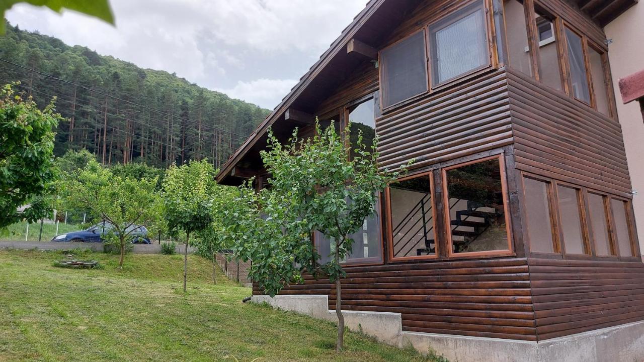 Forest Apartment Sapareva Banya Εξωτερικό φωτογραφία