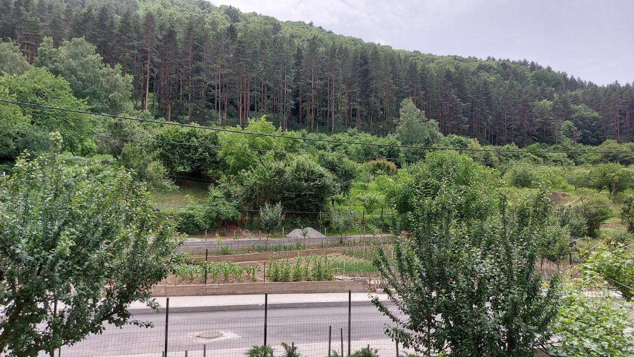 Forest Apartment Sapareva Banya Εξωτερικό φωτογραφία