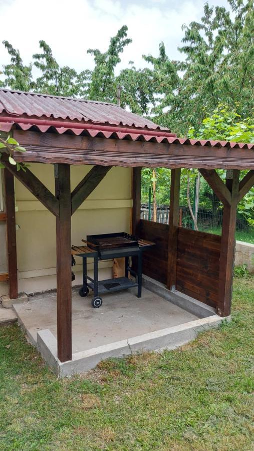 Forest Apartment Sapareva Banya Εξωτερικό φωτογραφία
